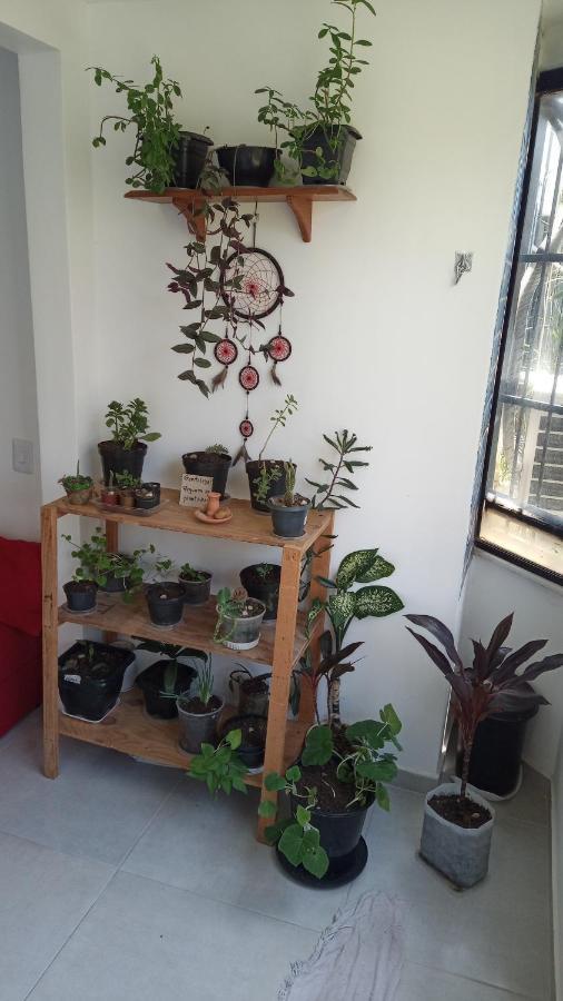 Appartement Fique No Bairro Mais Encantador De Salvador - Ba Extérieur photo